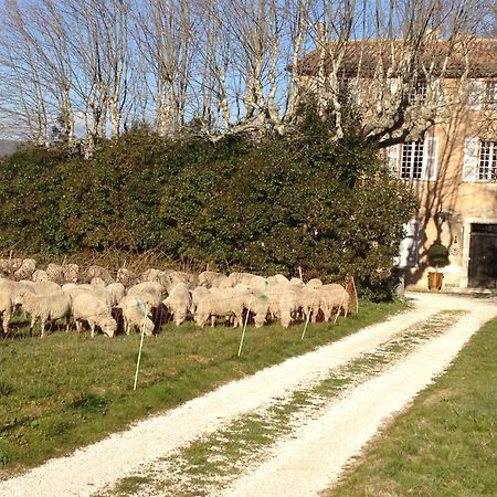 B&B Domaine Le Clos Du Pavillon Μπρινιόλ Εξωτερικό φωτογραφία