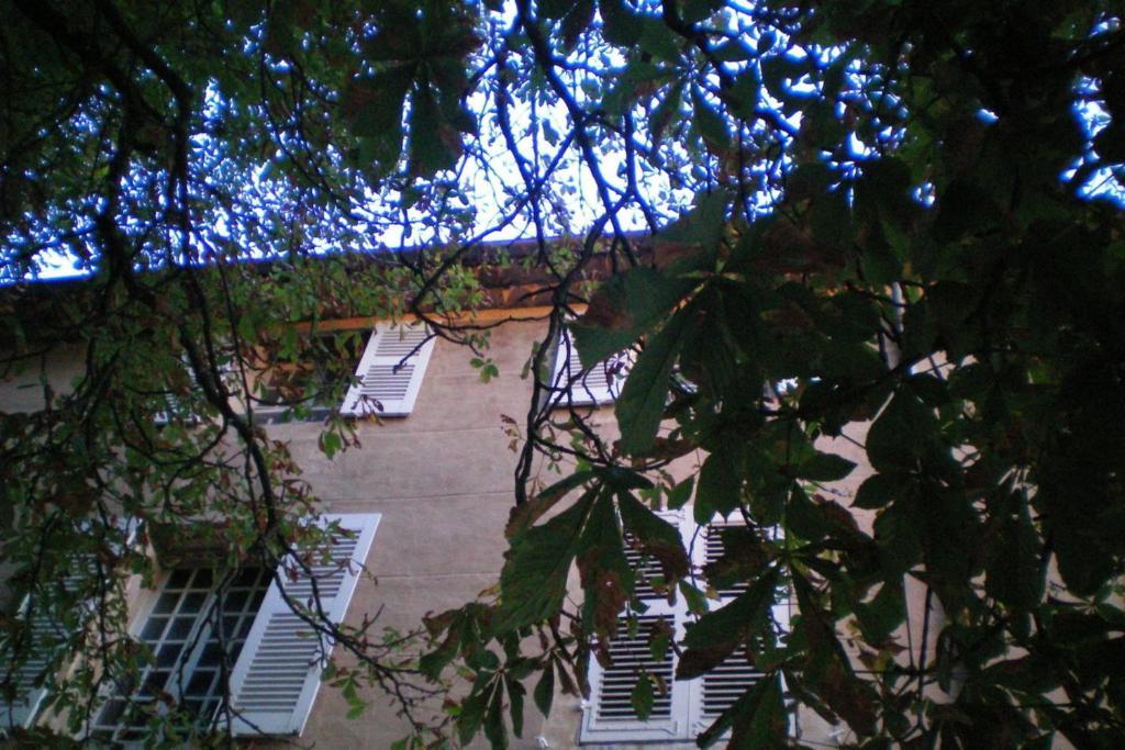 B&B Domaine Le Clos Du Pavillon Μπρινιόλ Εξωτερικό φωτογραφία