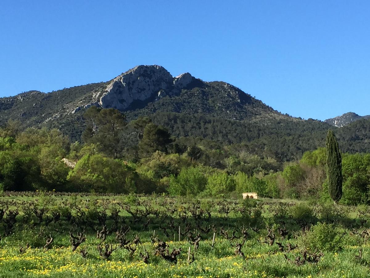 B&B Domaine Le Clos Du Pavillon Μπρινιόλ Εξωτερικό φωτογραφία